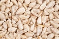 White peeled sunflower seeds, closeup detail from above Royalty Free Stock Photo