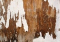 White Peeling Paint Royalty Free Stock Photo