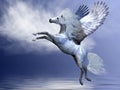 White Pegasus