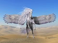 White Pegasus in Desert