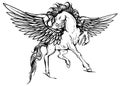 White pegasus, mythological winged horse, illustration isolated on white background vector Royalty Free Stock Photo