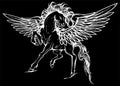 white pegasus, mythological winged horse, illustration silhouette in black background Royalty Free Stock Photo