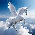 White Pegasus unicorn in a cliff high above the clouds Royalty Free Stock Photo