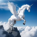 White Pegasus unicorn in a cliff high above the clouds Royalty Free Stock Photo