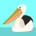 White pelican vector illustration flat style front