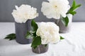 White peonies in gray handmade cups