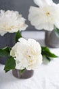 White peonies in gray handmade cups