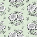 White peony floral sketch. spring flower vector illustration. bl Royalty Free Stock Photo