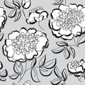 White peony floral sketch. spring flower Royalty Free Stock Photo