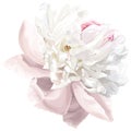 White peony flower Royalty Free Stock Photo