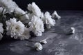 White peony flower isolated on dark background close-up. Generative AI Royalty Free Stock Photo