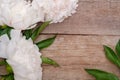 White peony flower on wooden background