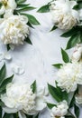 White Peony Flowers Frame on Brick Background Royalty Free Stock Photo