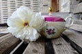 White peony with old teapot at the entrance of a house