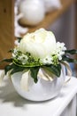 White peony