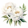 White Peony Watercolor Painting: Realistic Floral Art For Photoshop