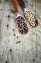 White pepper and black pepper on wood spoon. Royalty Free Stock Photo