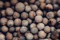 White pepper blurred background. White peppercorns spices. Dry white pepper seeds. Macro spice background Royalty Free Stock Photo