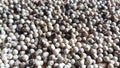 White Pepper That Has Been Dried in The Traditional Way Royalty Free Stock Photo