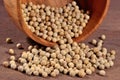 White pepper seeds in a bowl Royalty Free Stock Photo