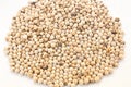 The White Peppercorns Close Up Royalty Free Stock Photo