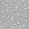 White petals pattern on gray textured paper background. Royalty Free Stock Photo