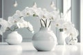 White Phalaenopsis orchid in a beautiful vase on a table in a white modern interior.