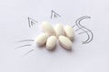 White pharmaceutical pills with cat picture around. Veterinary treatment and medication, animal pharmacy, pet health care concept