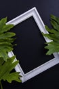 White photo frame among green  leaves with black background Royalty Free Stock Photo