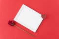 White photo frame and red rose on a red background. Flat lay. Royalty Free Stock Photo