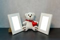 White photo frame and teddy bear toy Royalty Free Stock Photo