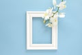 White photo frame with white orchids. Beautiful White Phalaenopsis orchid flowers, wooden white photo frame on blue background Royalty Free Stock Photo