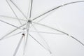 White photo umbrella
