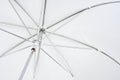 White photo umbrella Royalty Free Stock Photo