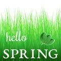 White phrase Hello Spring on green grass Royalty Free Stock Photo