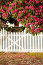 White picket fence Royalty Free Stock Photo