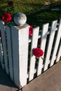 White picket fence with red rose Royalty Free Stock Photo