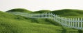 White picket fence on grass