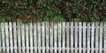 White picket fence