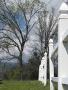 White picket fence in treelined meadow Royalty Free Stock Photo