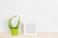 White picture frame and fern in green pot Royalty Free Stock Photo