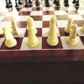 White pieces of chess war game