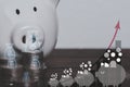 A white pig piggy bank and a pile of coins are placed on the wooden floor.