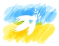 White pigeon, peace symbol with Ukrainian flag