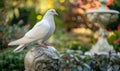 White pigeon perched on a marble statue with a peace globe in the background in a serene garden setting Royalty Free Stock Photo