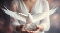 A white pigeon with wings in the hands of a young woman Royalty Free Stock Photo