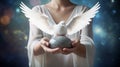 A white pigeon with wings in the hands of a young woman Royalty Free Stock Photo