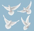 White pigeons. Dove love flying birds in sky symbols of freedom and wedding vector realistic pictures Royalty Free Stock Photo