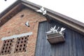 Pigeons fly out of cage on an old barn Royalty Free Stock Photo