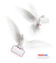 White Pigeons Set